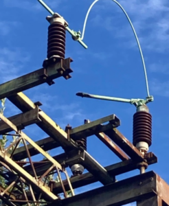  667e9ab141b71 667e9ab141b72c03105f2 218d 4ba6 8f17 926a2e079132.png